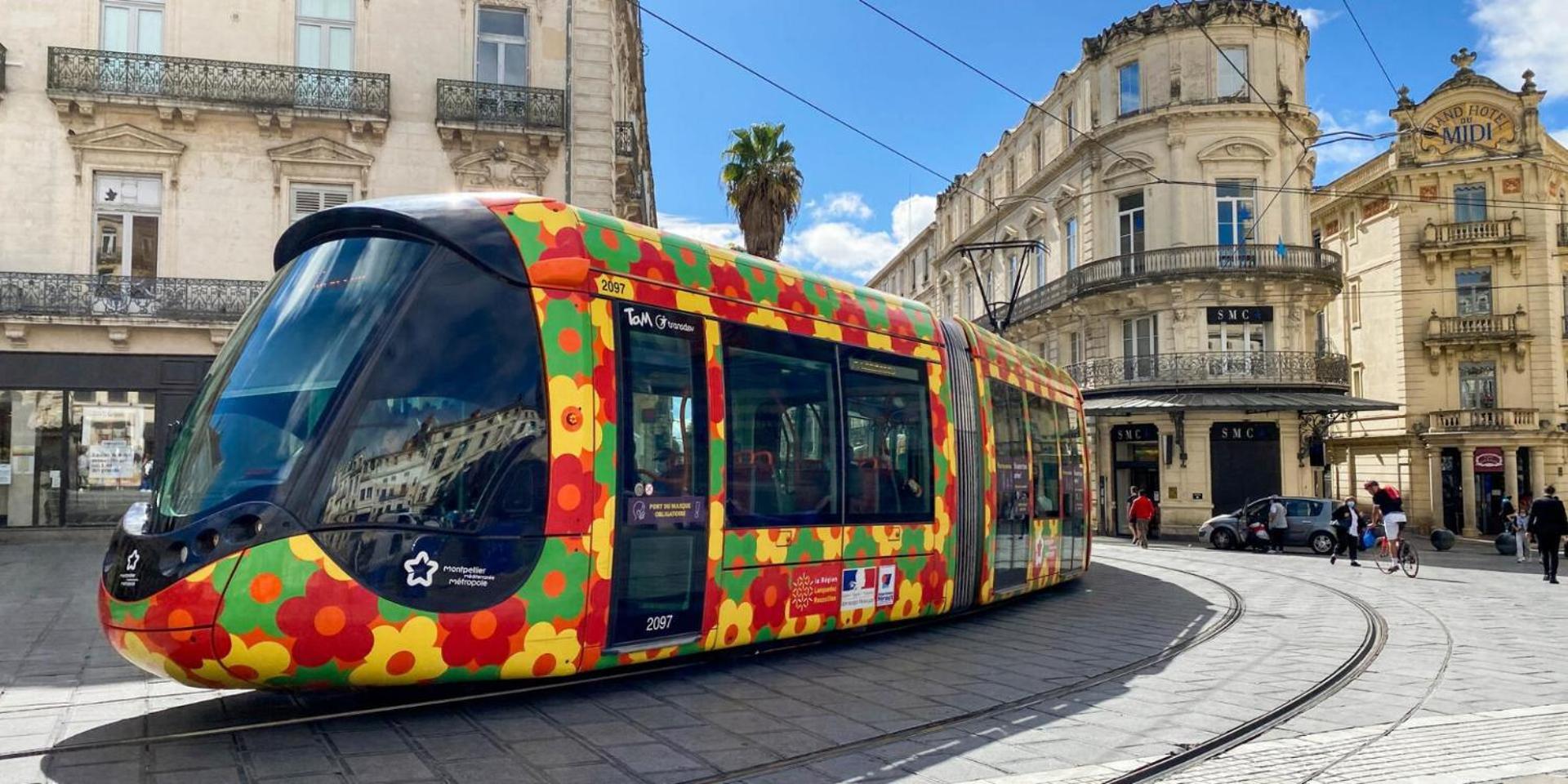 Apartment Douillet Et Coquet Climatise - Parking Prive Gratuit - Centre Montpellier